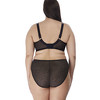 Высокие трусики брифы Elomi EL4496 Lucie