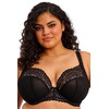 Бюстгальтер Elomi EL303334 Tiernie